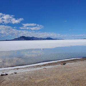 Meet your Posher, Lacey